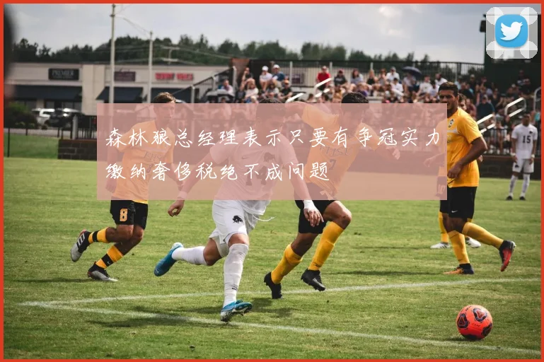 森林狼总经理表示只要有争冠实力缴纳奢侈税绝不成问题