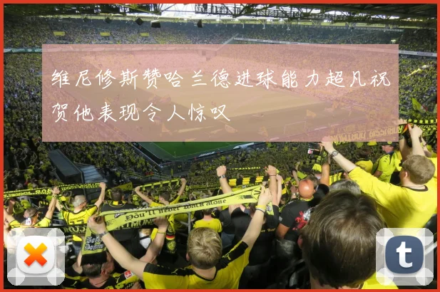 维尼修斯赞哈兰德进球能力超凡祝贺他表现令人惊叹
