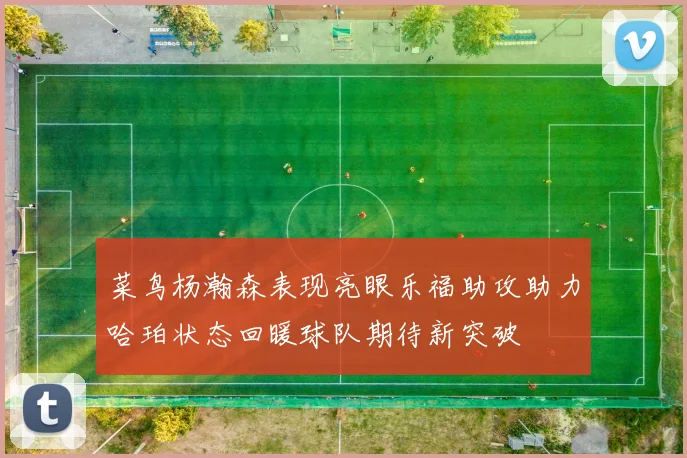 菜鸟杨瀚森表现亮眼乐福助攻助力哈珀状态回暖球队期待新突破