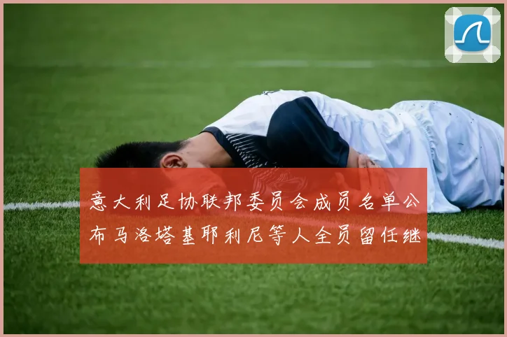 意大利足协联邦委员会成员名单公布马洛塔基耶利尼等人全员留任继续服务